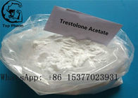 CAS 6157-87-5 Trenbolone Steroid Powder Trestolone Acetate MENT Increase Lean Muscles