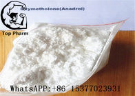 434-07-1 Anadrol 50 Oxymetholone , Anabolic Steroids Powder For Gaining Lean Muscles