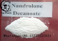 White Powder Deca Nandrolone Decanoate CAS 360-70-3 For Fitness Muscle Gaining