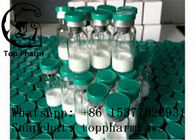 White Powder Body Building Peptides CJC1295 without DAC  CAS 863288-34-0