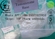 Testosterone Base/Testosterone Suspension CAS 58-22-0 raw test powder