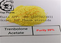 99%purity Trenbolone Acetate/Tren ace CAS NO.: 10161-34-9 tren acetate 100MG/ML