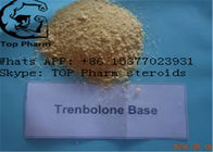 99% Trenbolone base /Tren base CAS 10161-33-8 Trenbolone no ester for buliding muscles