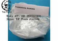 99% Purity Trestolone Acetate /MENT CAS 6157-87-5 Strong effect building muscles