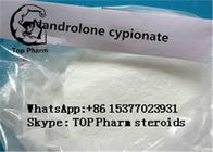 99% purity Nandrolone cypionate/Dynabol CAS 601-63-8 building muscles
