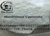 99% purity Nandrolone cypionate/Dynabol CAS 601-63-8 building muscles