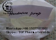 99% purity Nandrolone propionate CAS 7207-92-3 gain muscles nandrolone series