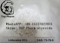 99% Lidocaine Hydrochloride /Lidocaine Hcl  local anesthetic CAS 73-78-9 pain killer