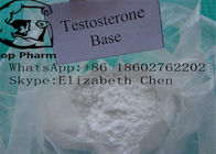 Testosterone Base Raw Testosterone Powder CAS 58-22-0 98% Purity white powder bodybuilding