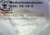 99% Purity 17-Alpha-Methyl Testosterone CAS 58-18-4 Bodybuilding Legal Steroids white powder