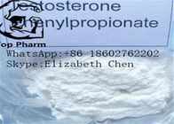 Testosterone Phenylpropionate CAS 1255-49-8 Fast Muscle Growth Steroids  white powder bodybuilding