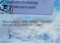 CAS 360-70-3 Nandrolone Decanoate Building Muscles 4-Estren-17beta-Ol-3-One Decanoate White Powder  99%purity