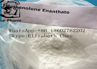 Muscle Building Steroids Methenolone Enanthate / Primobolan Enanthate CAS 303-42-4 White Powder  99%purity