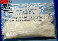 CAS 54965-24-1 Male Enhancement Steroids Tamoxifen Citrate Tamofen Nolva white powder