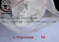 CAS 51-48-9 L Thyroxine T4 Involved In Maintenance Of Metabolic Homeostas white powder 99%purity bodybuilding