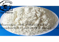 Mibolerone Oral Anabolic Steroids  CAS 3704-09-4 Muscle Growth Hormone  White powder 99%purity