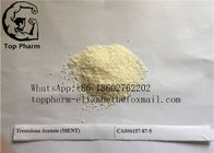 Trestolone Acetate MENT Trenbolone Steroid Powder CAS6157-87-5 Bodybuilding Purity 99%