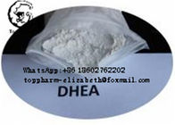 DHEA CAS 53-41-8  1- Dehydroepiandrosterone Steroid Medicine Intermediates  purity99%  white powder  bodybuilding