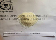CAS 6157-87-5 Trestolone Acetate /MENT 	Trenbolone Steroid Powder 99% purity muscle building