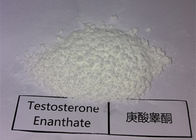 C19H28O2 Loose Lyophilized Raw Testosterone Powder 99% Purity