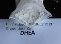C19H30O2 Androsterone 1 Dehydroepiandrosterone CAS 53-41-8