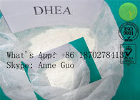 C19H30O2 Androsterone 1 Dehydroepiandrosterone CAS 53-41-8