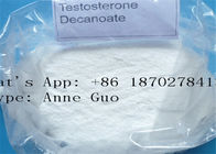99% Purity Testosterone Decanoate Powder CAS 5721-91-5