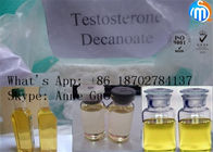99% Purity Testosterone Decanoate Powder CAS 5721-91-5