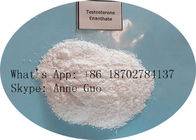 Muscle Gain Testosterone Enanthate Powder CAS 315-37-7