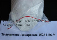 Crystalline CAS 15262-86-9 Testosterone Isocaproate C25H38O3
