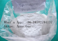 99% Purity Testosterone Propionate Crystalline CAS 57-85-2  C22H32O3