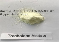 White Or Yellow Powder Trenbolone Acetate CAS 10161-34-9 Muscle Growth Hormone