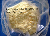 CAS 10161-33-8 Trenbolone Base Steroid Powder 99% Purity Muscle Growth Hormone