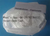 CAS 601-63-8 Nandrolone Cypionate Anabolic Steroid Injectable , Muscle Growth White Powder 99% Purity