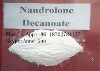 Nandrolone Decanoate Anabolic Steroid Injectable , Muscle Growth 99% Purity CAS 360-70-3