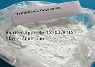 Nandrolone Decanoate Anabolic Steroid Injectable , Muscle Growth 99% Purity CAS 360-70-3