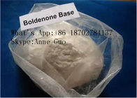 CAS 846-48-0 Boldenone Base White Powder Effective For Musclebuilding