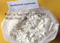 Boldenone Cypionate CAS 106505-90-2 Powder C26H38O3 Effective For Musclebuilding