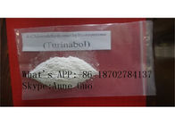 99% Purity 4-Chlordehydromethyltestosterone Oral Turinabol CAS 2446-23-3