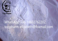 99% purity 4- Chlordehydromethyltestosterone / Oral Turinabol CAS 2446-23-3 White Crystalline Powder  bodybuilding