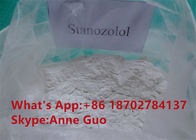 99% Purity Solid Oral Anabolic Steroids Stanozolol Powder For Body Building