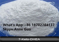 99% Purity 7-KETO DHEA Steroid Raw Powder CAS 566-19-8 for  Immune Health