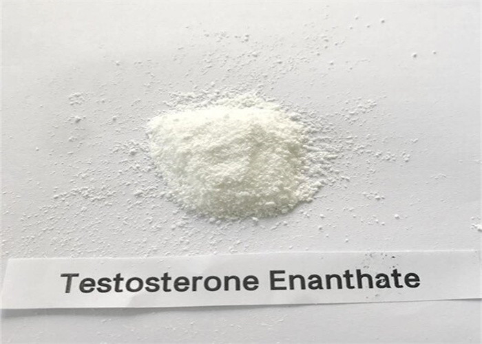 Bodybuilding Testosterone Enanthate Steroid Powder CAS 315-37-7 99% Purity