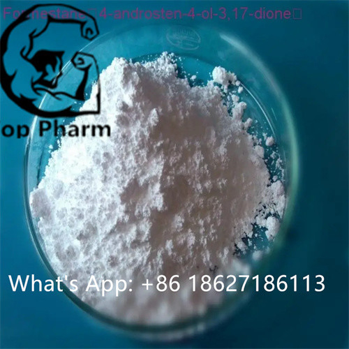 99% purity 17-Alpha-Methyl CAS 58-18-4  Powder Improve physical strength of remote mobilization