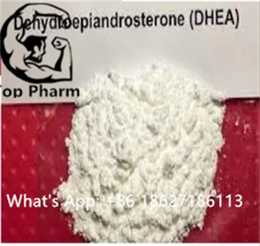 DHEA / Androsterone / 1-Dehydroepiandrosterone Powder Androgens Estrogens