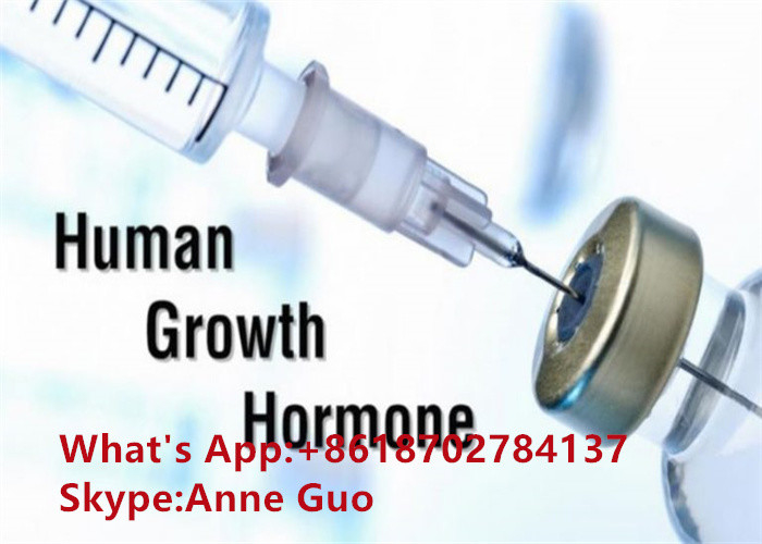 Muscle Gain Human Growth Hormone HGH CAS 12629-01-5 Loose Lyophilized Powder