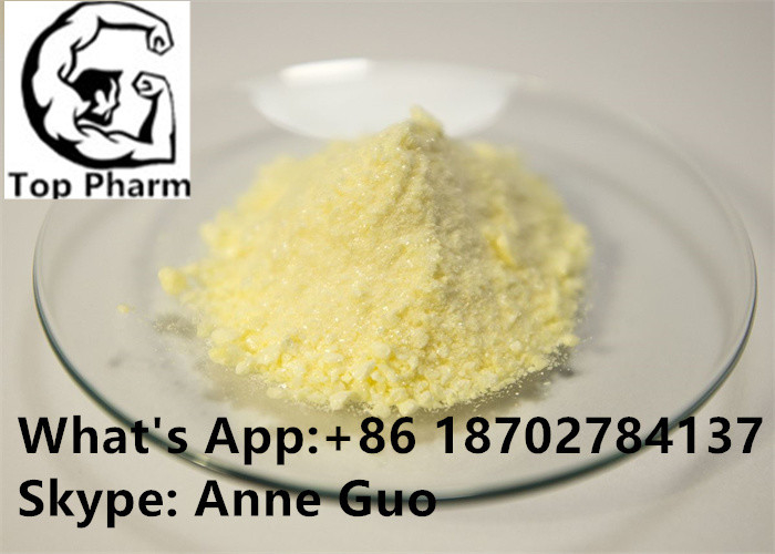 99% Purity 2 , 4-Dinitrophenol CAS 51-28-5 Weight Loss Powder For Water