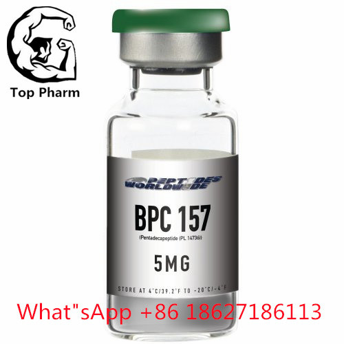 99% Purity Pentadecapeptide BPC 157 CAS 137525-51-0  Lyophilized Powder Increasing Lean Muscular