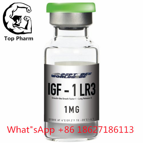 IGF-1 LR3 CAS 170851-70 Lyophilized Powder Increase Lean Muscle Mass Human Growth Hormone Peptide For Bodybuilding