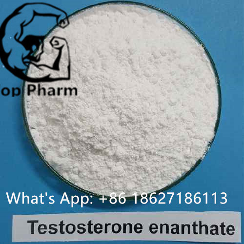 99% Purity Testosterone Enanthate CAS 315-37-7 White Powder Treat Male Low Testosterone And Improve Physical Fitness